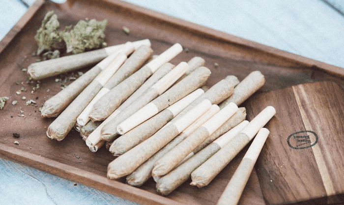 Marley Natural Pre-Rolls