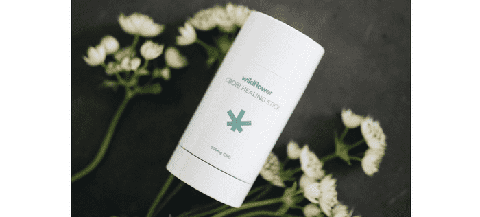 Wildflower CBD+ Healing Stick