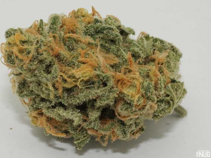 Acapulco Gold