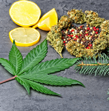 Cannabinoids and terpenes help with sleep