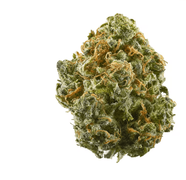 Blue Dream cannabis strain