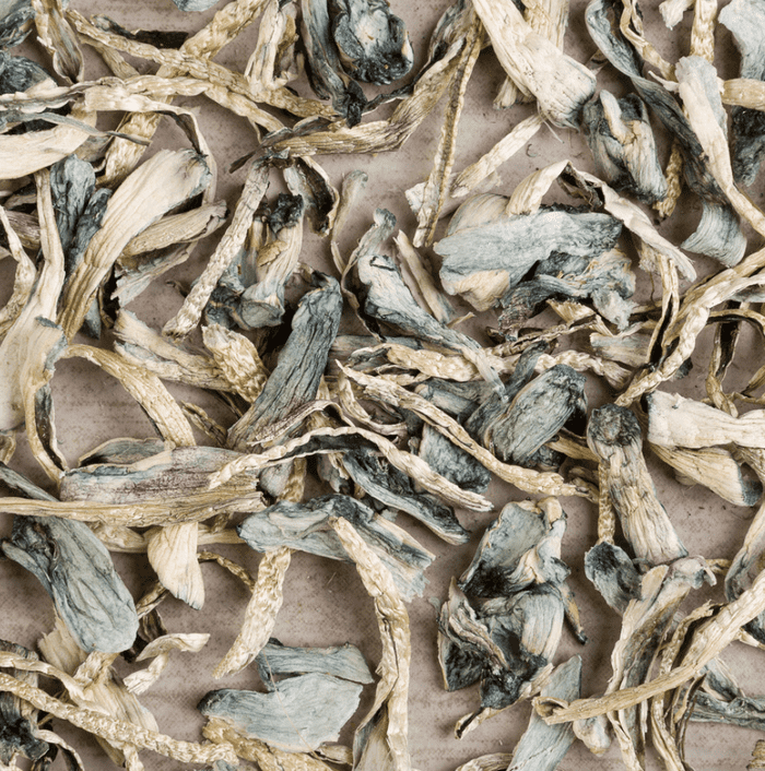 Psilocybin 