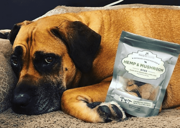 Holistic Hound CBD Dog Treats